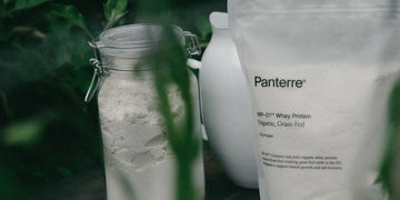 Best Protein Powder Without Artificial Sweeteners